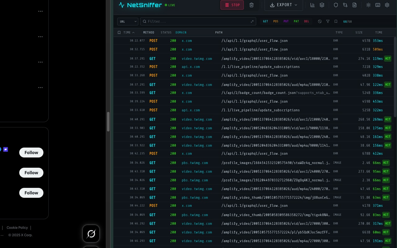 NetSniffer workspace showing captured network traffic