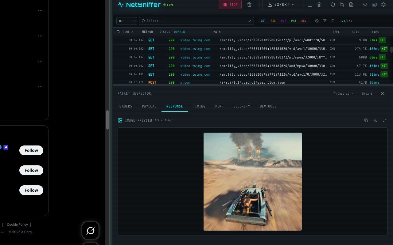 NetSniffer packet inspection view