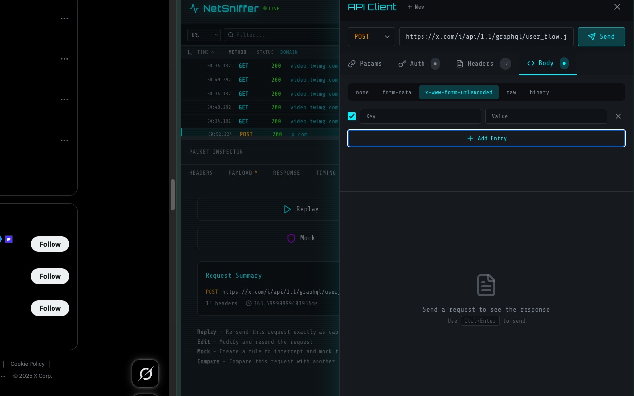 NetSniffer filtering and analysis interface