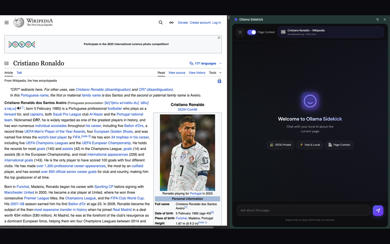 Ollama Sidekick welcome screen in the browser side panel
