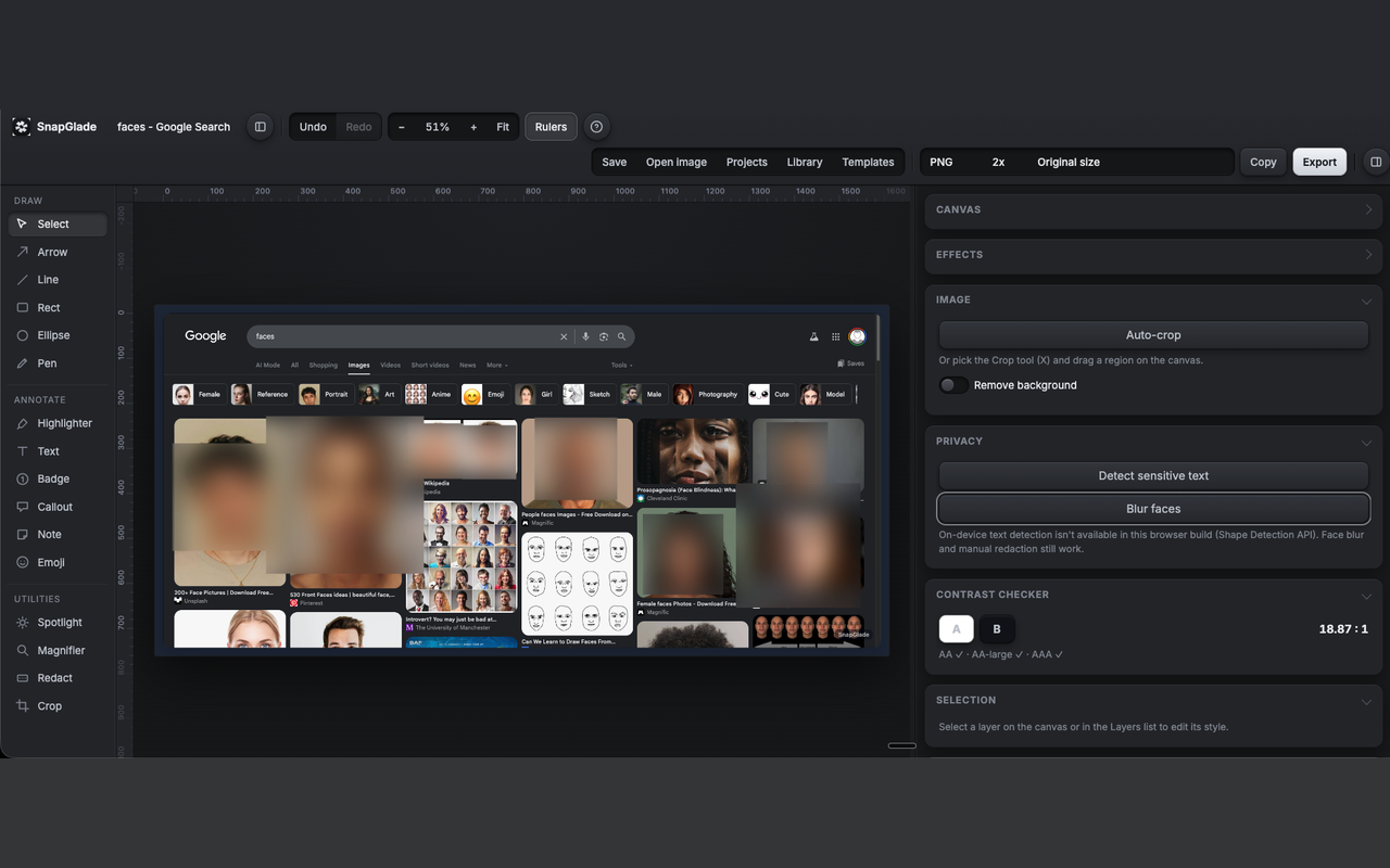 SnapGlade redaction and export tools